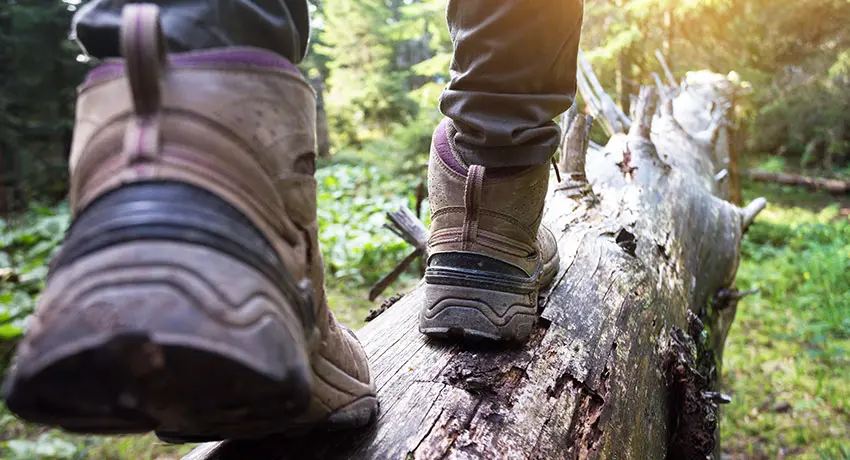Skor som går på en stock i skogen