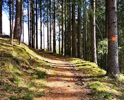 The Halland Trail