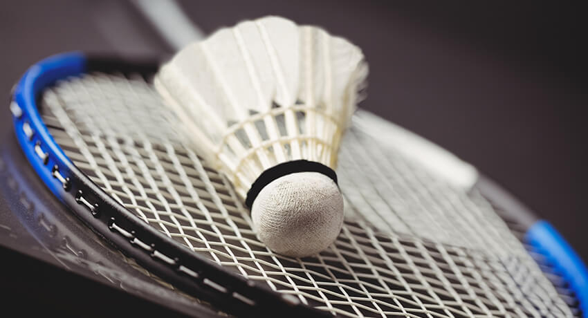  Badmintonstativ og bold