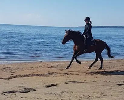  Rider riding on the beach in Halmstad