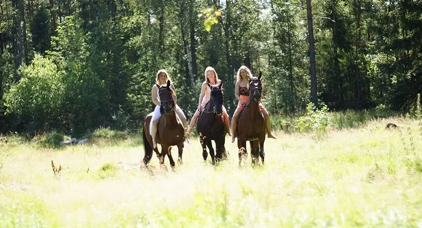 Tre ryttare på hästryggen på en äng