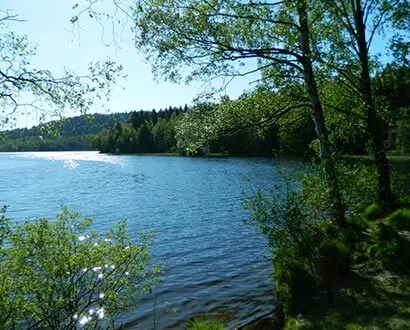En sjö i Skedala skog i Halmstad
