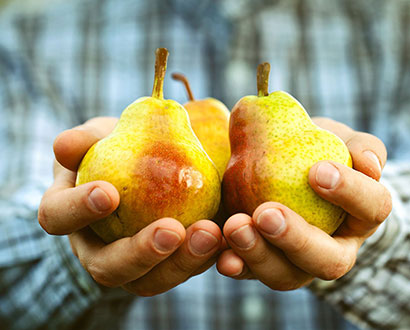 Person håller päron i handen