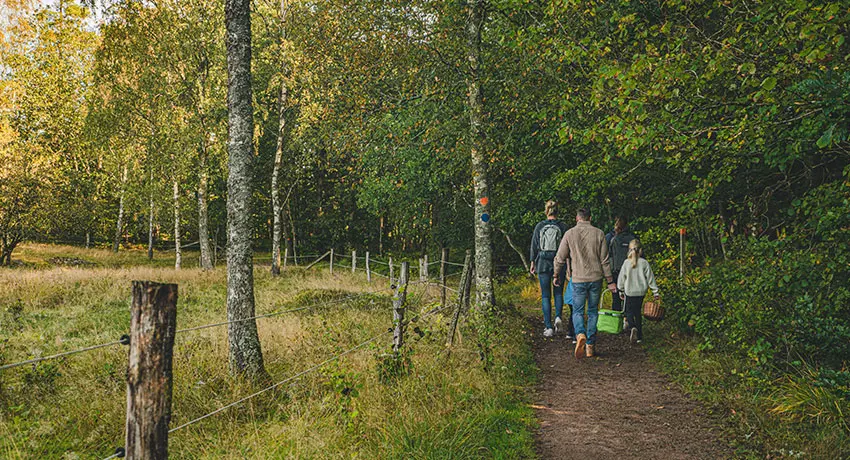 Familie mit Kaffeekörben im Wald spazieren