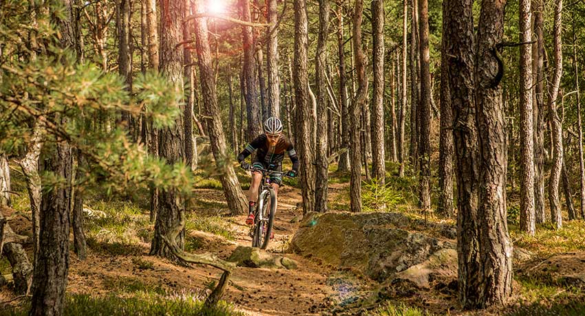 Mountainbike-cyklist i skogen Halmstad