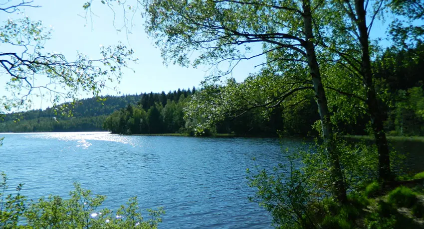 Udsigt over søen i Skedala-skoven Halmstad