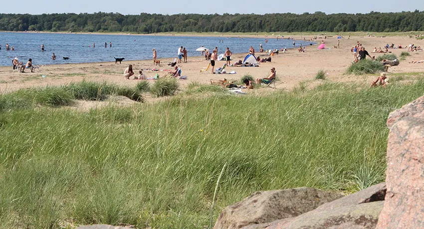 View of eastern beach with bathers on